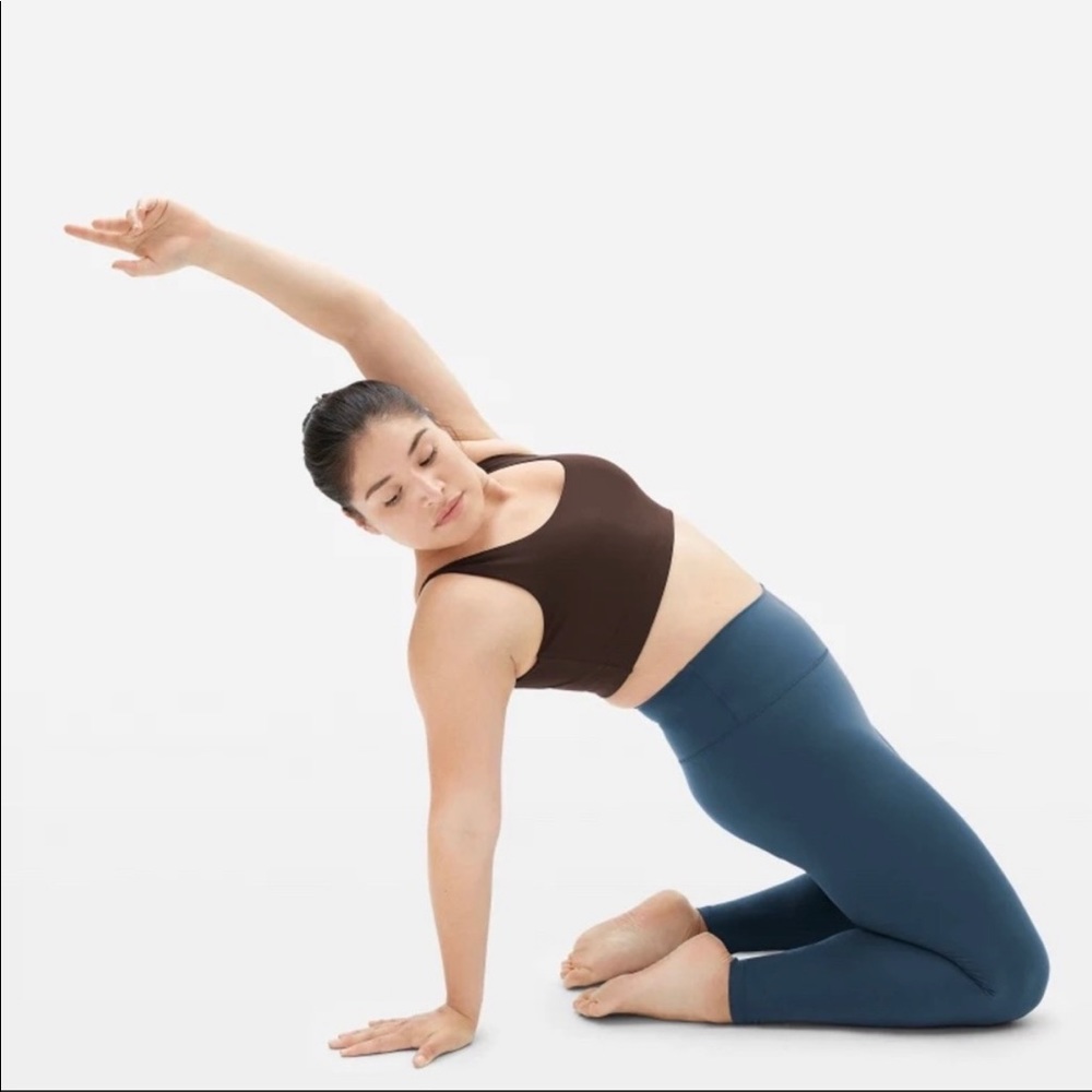 Everlane The Perform Brown Bra NWT